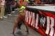 Could Kofi Kingston handstand his way to a Rumble win? (photo credit: wwe.com)