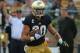 SOUTH BEND, IN - SEPTEMBER 08: Tyler Eifert #80 of the Notre Dame Fighting Irish runs with the ball against the Purdue Boilermakers at Notre Dame Stadium on September 8, 2012 in South Bend, Indiana. Notre Dame defeated Purdue 21-17. (Photo by Jonathan Daniel/Getty Images)