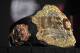 Dec 29, 2012; Las Vegas, NV, USA; General view of heavyweight championship belt following UFC 155 at the MGM Grand Garden Arena. Mandatory Credit: Gary A. Vasquez-USA TODAY Sports