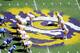 BATON ROUGE, LA - OCTOBER 01: Jarrett Lee #12 of the Louisiana State University Tigers waits for the snap during a game being held at Tiger Stadium on October 1, 2011 in Baton Rouge, Louisiana. (Photo by Stacy Revere/Getty Images)