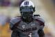 South Carolina WR Ace Sanders
