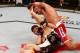 (Photo by Josh Hedges/Zuffa LLC/Zuffa LLC via Getty Images)