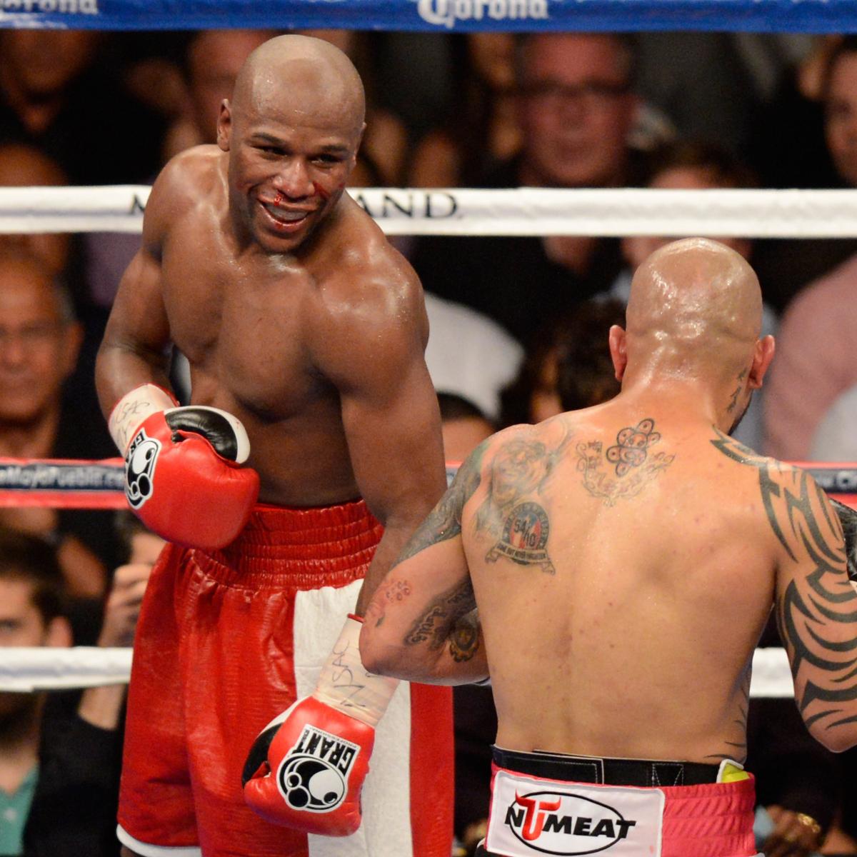 5 vs 3 boxers
