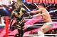 wwe.com