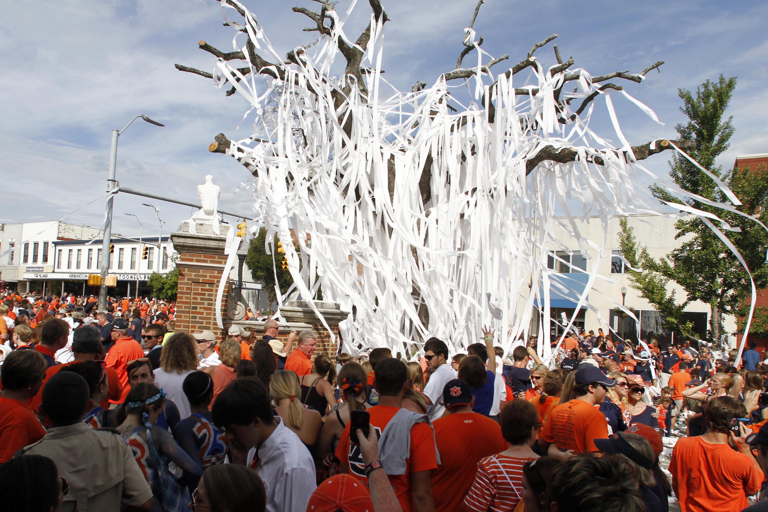 toilet paper trees auburn