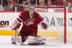 The Phoenix Coyotes' Mike Smith is looking to build off of a terrific season in Phoenix last year.