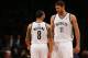 The Brooklyn Nets would not be a postseason threat without Brook Lopez.