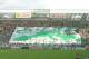 Aubameyang has brought the good times back to the Stade Geoffroy-Guichard. Photo courtesy of Wikimedia Commons