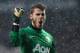 LONDON, ENGLAND - JANUARY 20: David De Gea of Manchester United celebrates as Robin van Persie of Manchester United scores the opening goal during the Barclays Premier League match between Tottenham Hotspur and Manchester United at White Hart Lane on January 20, 2013 in London, England. (Photo by Clive Mason/Getty Images)