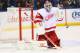 Gustavsson's return will help the Detroit Red Wings.