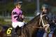 Violence on teh Cash Call Futurity (G1) (photo via horseracing.about.com