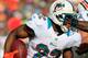 MIAMI GARDENS, FL - DECEMBER 02: Running back Reggie Bush #22 of the Miami Dolphins rushes against the New England Patriots at Sun Life Stadium on December 2, 2012 in Miami Gardens, Florida. (Photo by Chris Trotman/Getty Images)