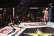 mixedmartialarts.com