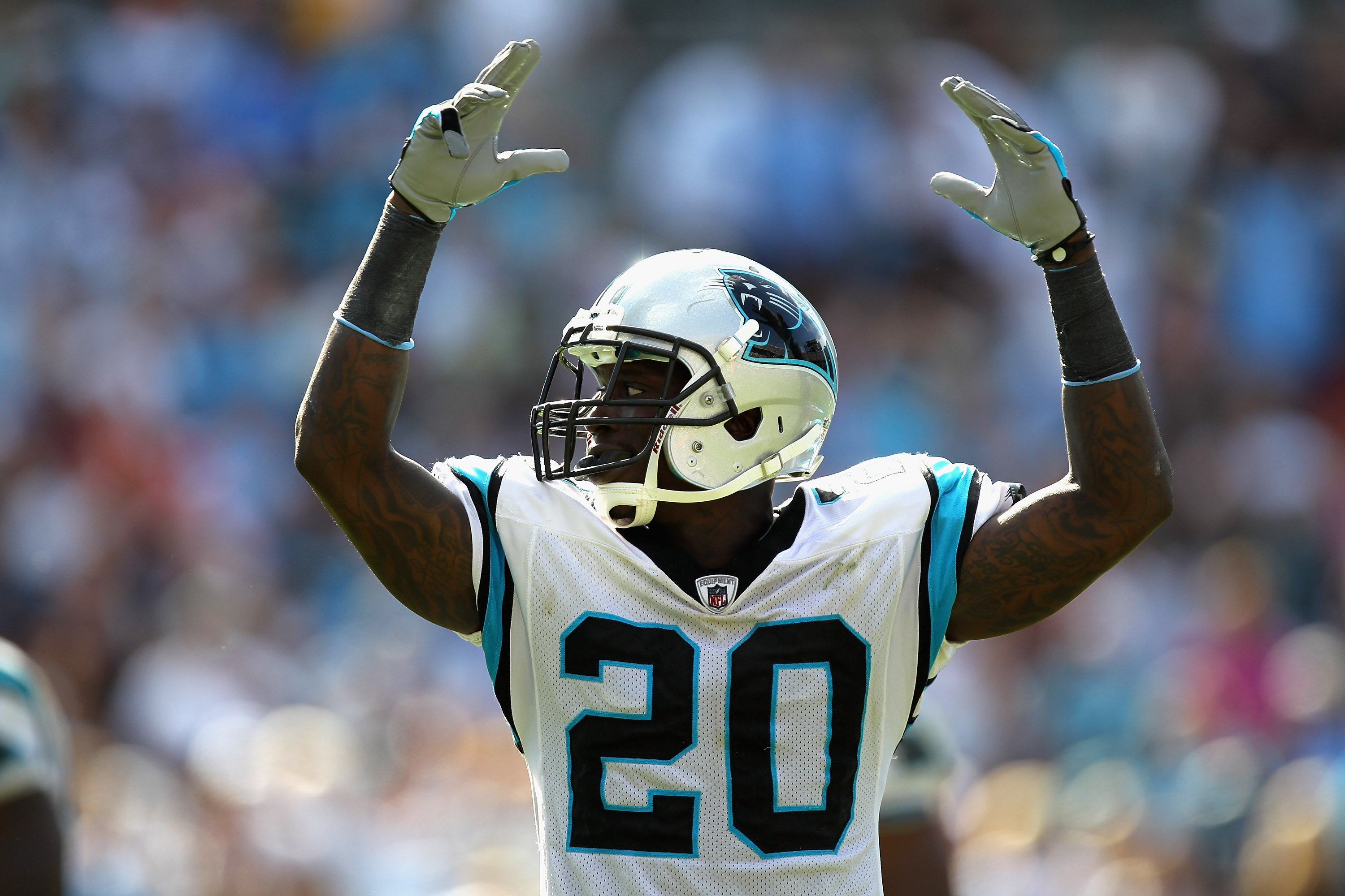 Carolina Panthers cornerback Chris Gamble (20) watches the last of