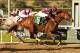 Hear the Ghost burst into the national spotlight with his win in the San Felipe Stakes (G2).