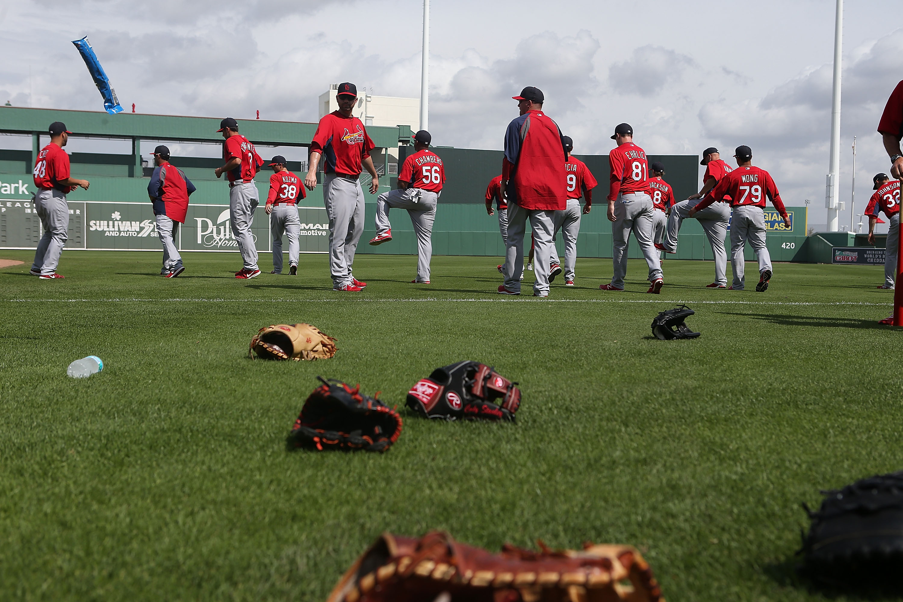 Spring Training poll: St. Louis Cardinals rate teammates