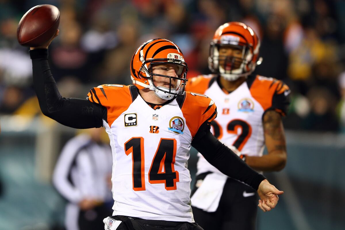 Bengals 2013 Salary Situation Breaking Down Cincinnati's Current Cap