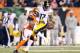 CINCINNATI, OH - OCTOBER 21: Mike Wallace #17 of the Pittsburgh Steelers drops a pass during the NFL game against the Cincinnati Bengals at Paul Brown Stadium on October 21, 2012 in Cincinnati, Ohio. (Photo by Andy Lyons/Getty Images)