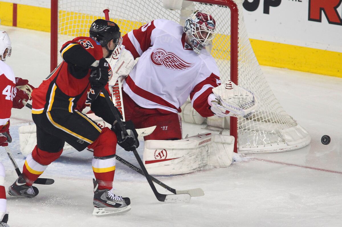 Detroit Red Wings Grading the Wings' Performance for 1st Half of NHL