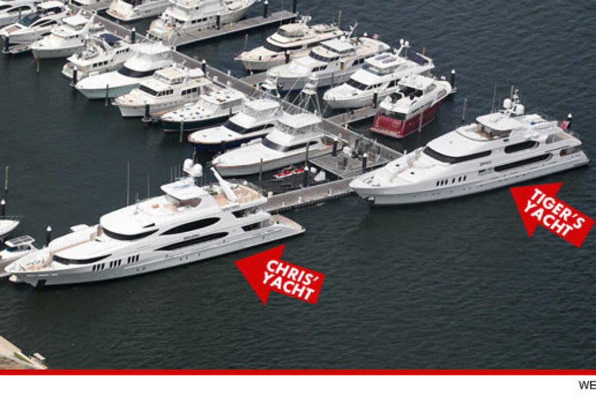 Tiger Woods' Ex-Wife: New Boyfriend Has a Bigger, Sexier ...