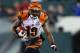 PHILADELPHIA, PA - DECEMBER 13: Brandon Tate #19 of the Cincinnati Bengals in action against the Philadelphia Eagles during their game at Lincoln Financial Field on December 13, 2012 in Philadelphia, Pennsylvania. (Photo by Al Bello/Getty Images)