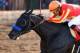 Govrnor Charlie winning the Sunland Derby (photo by desi-radio.com)
