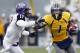 MORGANTOWN, WV - NOVEMBER 03: Tavon Austin #1 of the West Virginia Mountaineers carries the ball against the TCU Horned Frogs during the game on November 3, 2012 at Mountaineer Field in Morgantown, West Virginia. TCU defeated WVU in two overtimes 39-38. (Photo by Justin K. Aller/Getty Images)