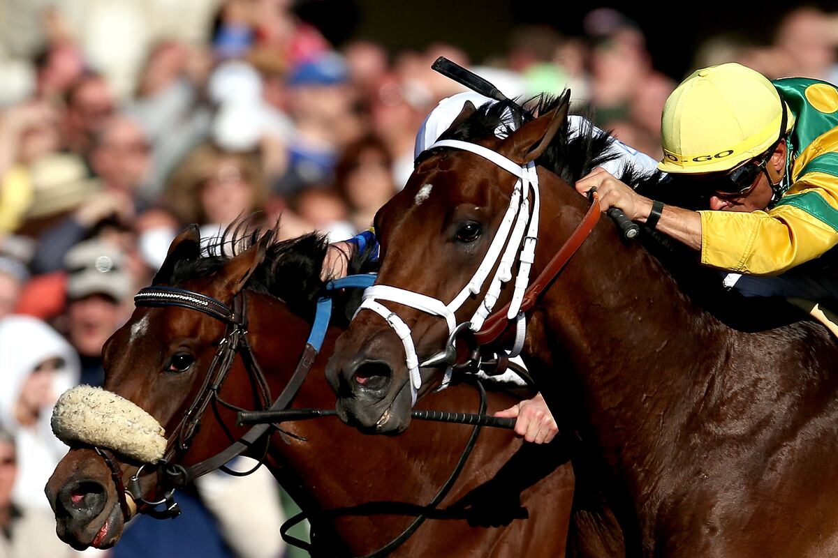 Kentucky Derby Prep Race Season 2013 Biggest Disappointments from