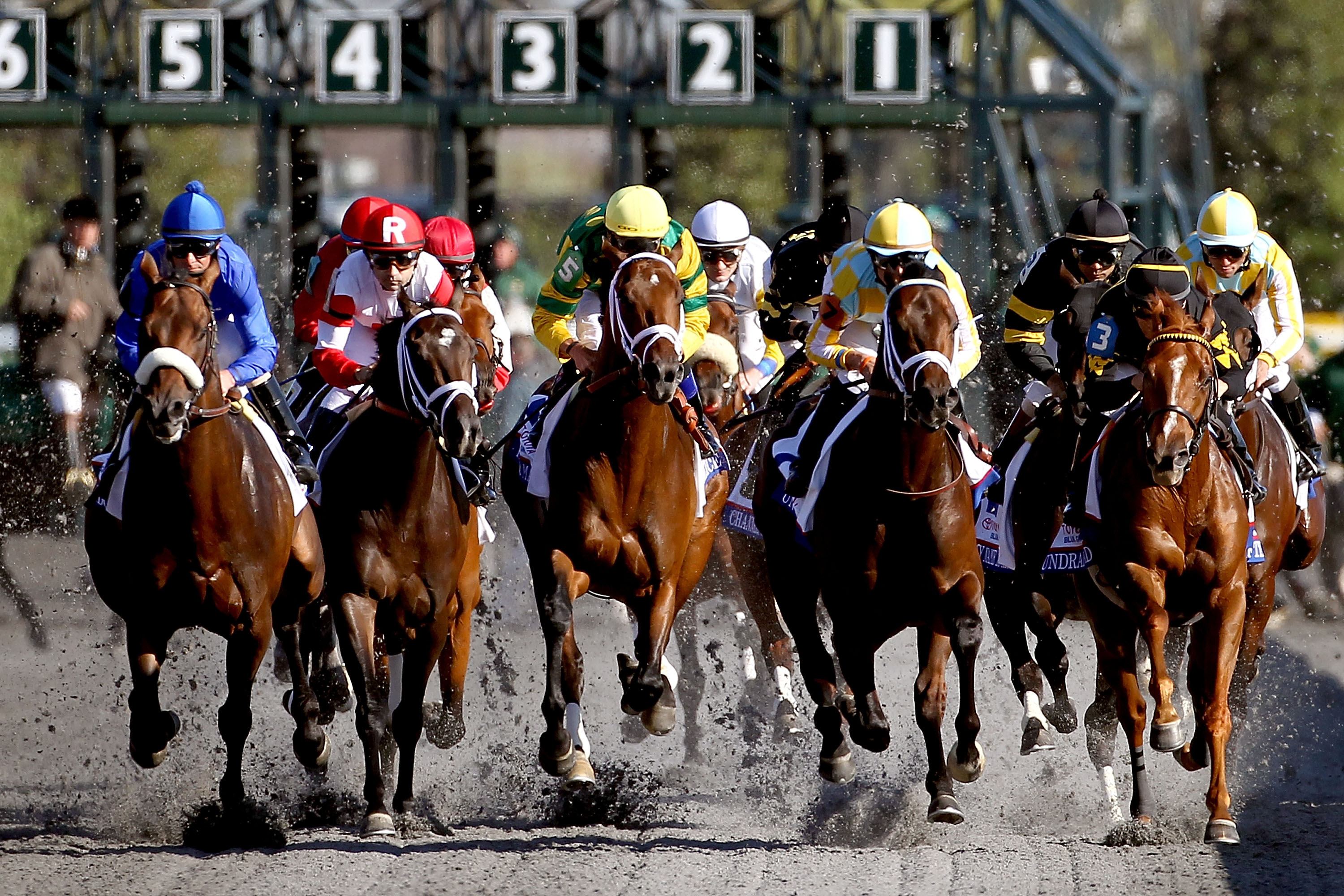 Coolmore Lexington Stakes 2013 Biggest Winners At Keeneland Bleacher Report Latest News Videos And Highlights