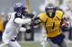 MORGANTOWN, WV - NOVEMBER 03: Tavon Austin #1 of the West Virginia Mountaineers carries the ball against the TCU Horned Frogs during the game on November 3, 2012 at Mountaineer Field in Morgantown, West Virginia. TCU defeated WVU in two overtimes 39-38. (Photo by Justin K. Aller/Getty Images)