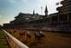 LOUISVILLE, KY - MAY 05: The field comes down the final stretch during the 138th running of the Kentucky Derby at Churchill Downs on May 5, 2012 in Louisville, Kentucky. (Photo by Rob Carr/Getty Images)