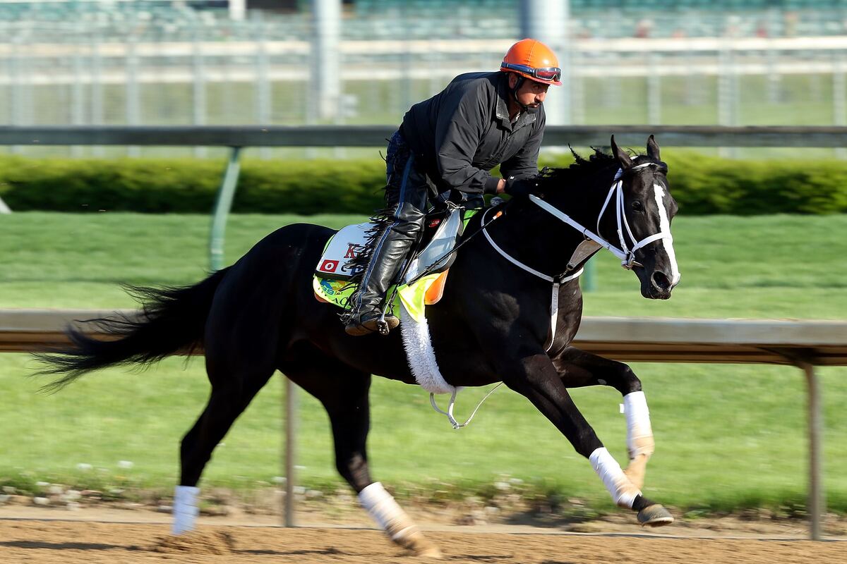 Kentucky Derby 2013 Post Positions Sleepers in Poor Position to Pull