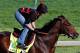 Orb is the favorite to win the 2013 Kentucky Derby.