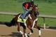 Goldencents