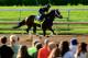 LOUISVILLE, KY - MAY 02: Verrazano trains on the track in preparation for the 2013 Kentucky Derby at Churchill Downs on May 2, 2013 in Louisville, Kentucky. (Photo by Jamie Squire/Getty Images)