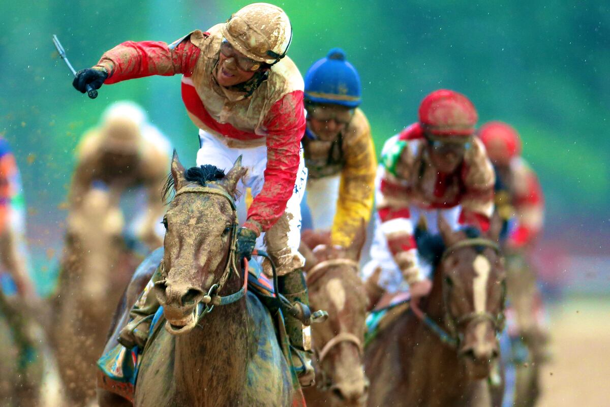 Kentucky Derby Results Complete Standings for Entire Field News