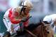 LOUISVILLE, KY - MAY 04: Jockey Joel Rosario atop Orb reacts after winning the 139th running of the Kentucky Derby at Churchill Downs on May 4, 2013 in Louisville, Kentucky. (Photo by Andy Lyons/Getty Images)