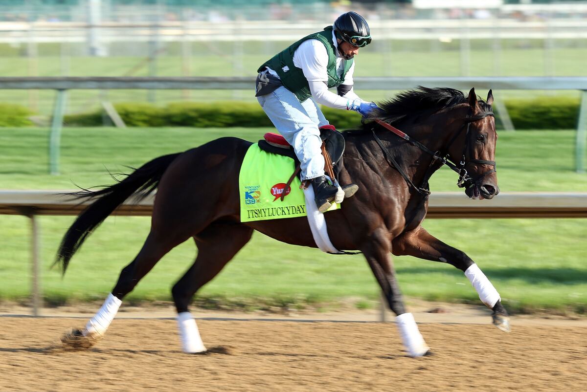 Kentucky Derby 2013 Results Disappointing Horses with Best Shot at