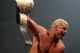 Photo courtesy of WWE.com