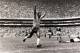 Celebrating the greatest World Cup goal ever scored.