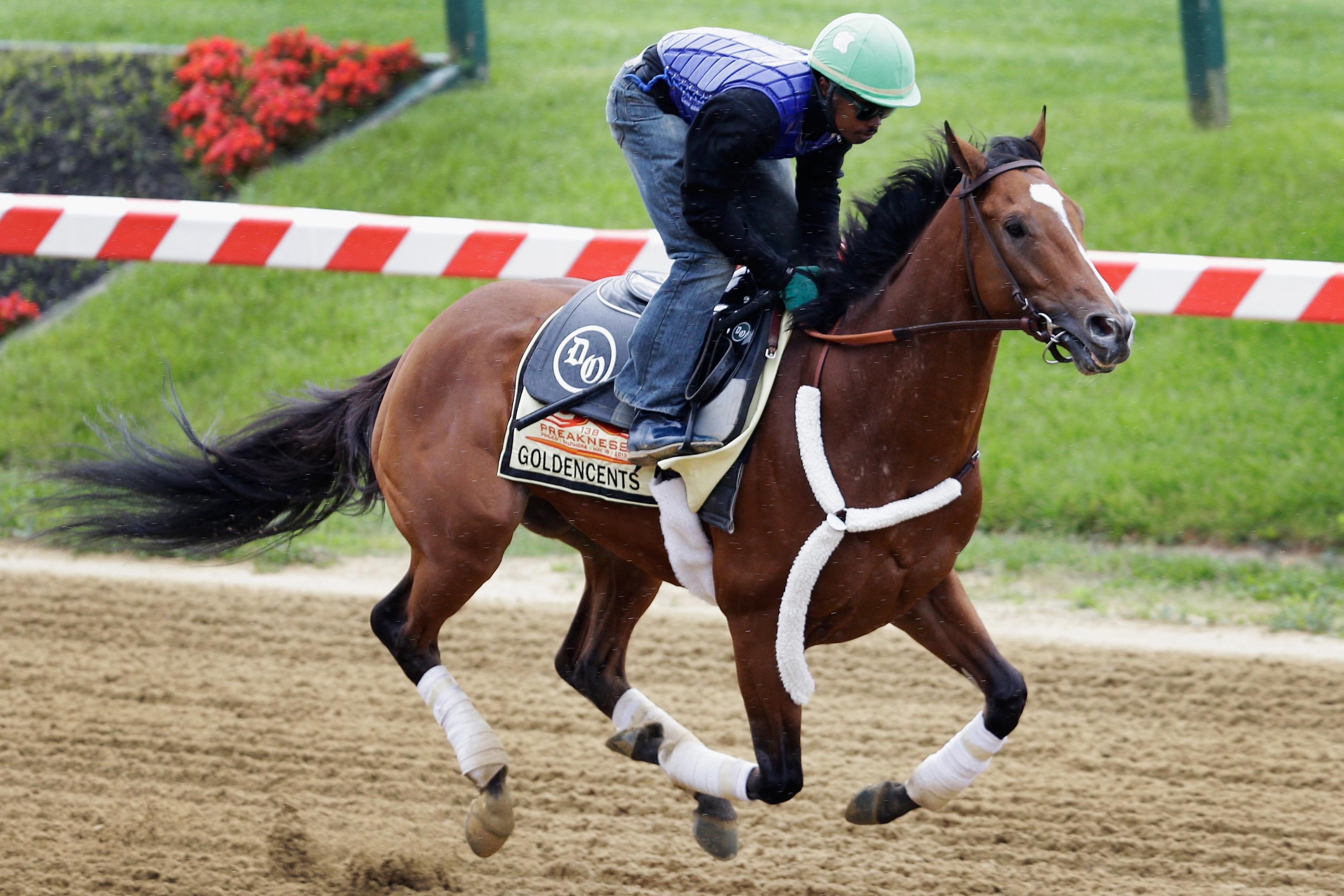 Preakness 2013: Post positions and morning line odds 