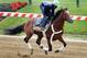 BALTIMORE, MD - MAY 15: Jockey Kevin Krigger takes Preakness entrant Goldencents over the track in preparation for the 138th Preakness Stakes at Pimlico Race Course on May 15, 2013 in Baltimore, Maryland. (Photo by Rob Carr/Getty Images)