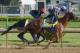 May 2, 2013; Louisville, KY, USA; Exercise rider Dana Barnes jogs Power Broker past Jorge Alvarez aboard Govenor Charlie in preparation for the Kentucky Derby during morning workouts at Churchill Downs. Mandatory Credit: Jamie Rhodes-USA TODAY Sports