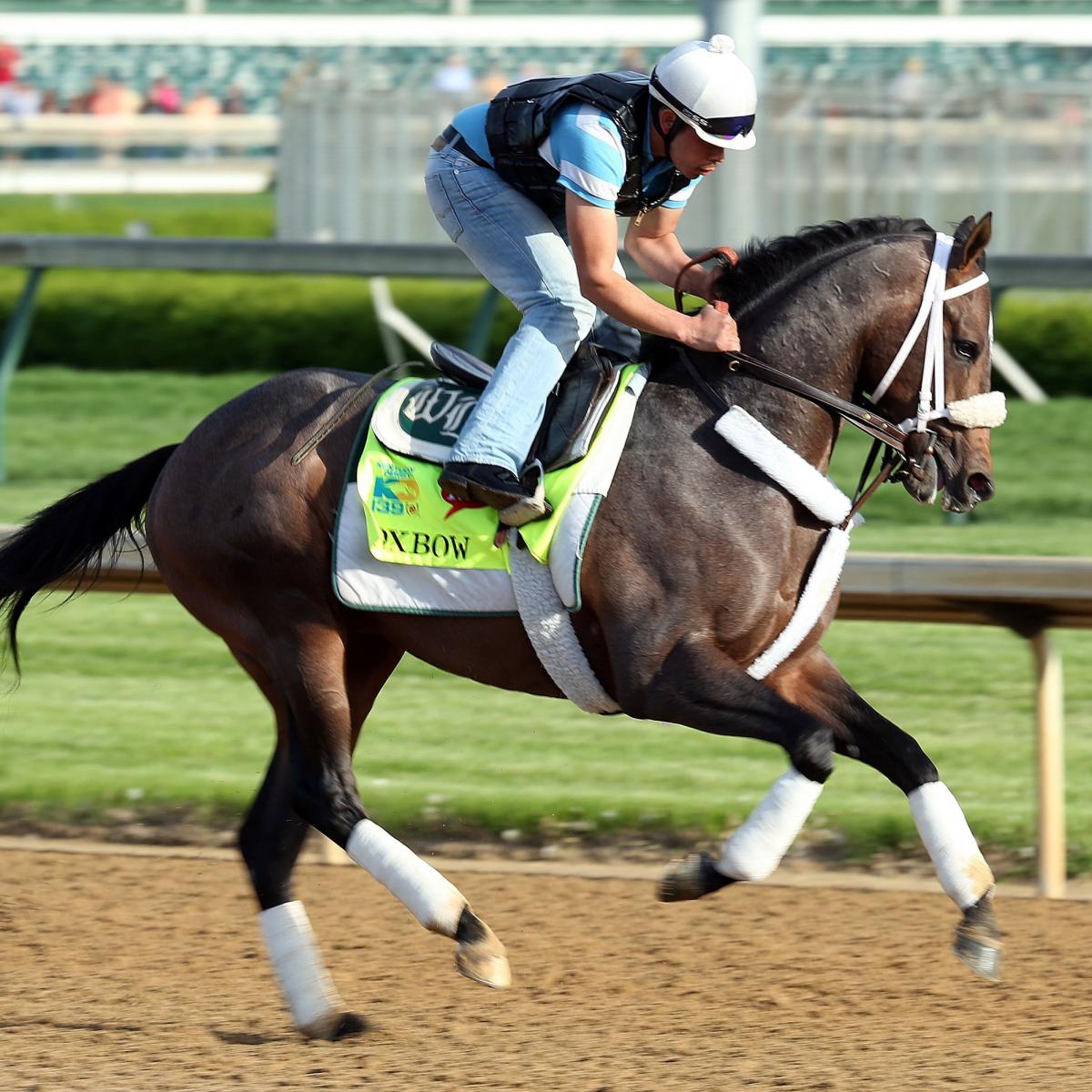 Preakness Picks Underdogs That Will Have Strong Showings at Pimlico