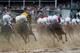 LOUISVILLE, KY - MAY 04: The field heads into the first turn during the 139th running of the Kentucky Derby at Churchill Downs on May 4, 2013 in Louisville, Kentucky. (Photo by Rob Carr/Getty Images)