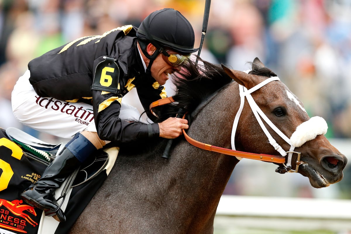 Preakness Results What We Learned from a Thrilling Run at Pimlico