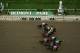 ELMONT, NY - JUNE 09: A general view of the start of the 144th running of the Belmont Stakes at Belmont Park on June 9, 2012 in Elmont, New York. (Photo by Al Bello/Getty Images)