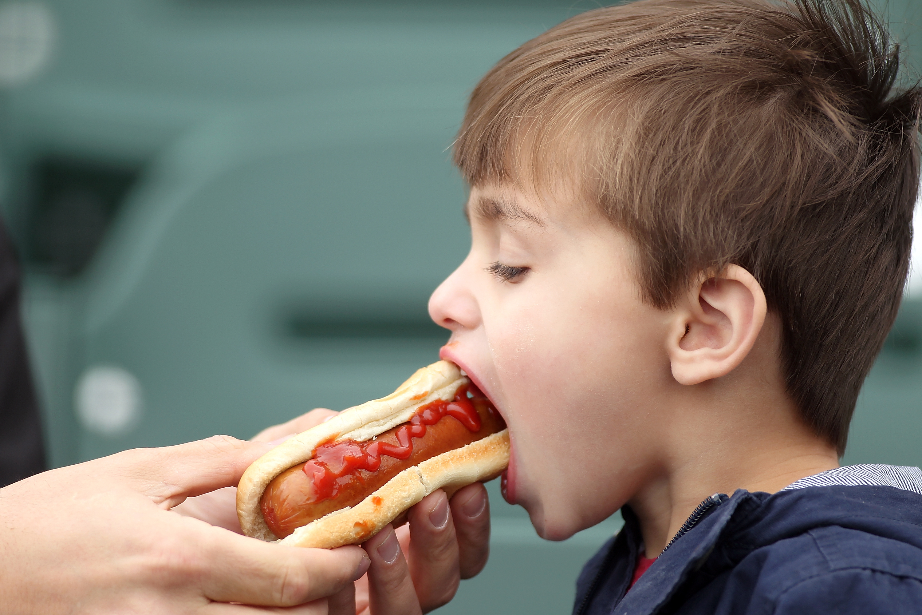 The Boomstick Dog for sale at the WS : r/baseball