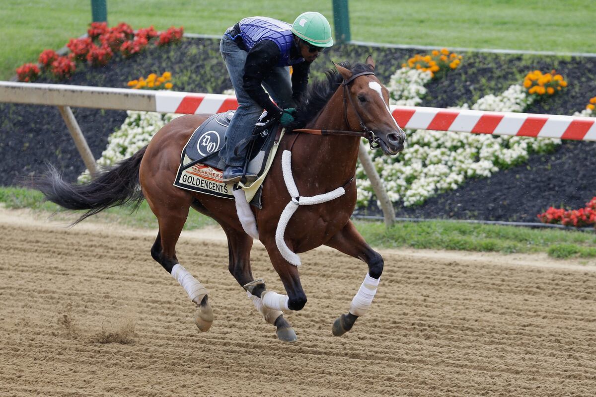 Belmont Stakes 2013 Preakness Horses That Should Skip 3rd Leg of