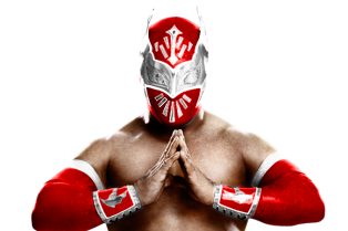 Image result for sin cara wwe 2012